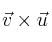 \vec{v} \times \vec{u}