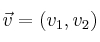 \vec{v} = (v_1,v_2)