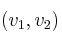 (v_1, v_2)