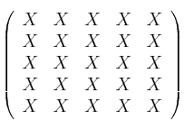 \left(
\begin{array}{ccccc}
X & X & X & X & X
\\X & X & X & X & X
\\X & X & X & X & X
\\X & X & X & X & X
\\X & X & X & X & X
\end{array}
\right) \left(
\begin{array}{ccccc}
X & X & X & X & X
\\X & X & X & X & X
\\X & X & X & X & X
\\X & X & X & X & X
\\X & X & X & X & X
\end{array}
\right)