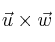 \vec{u} \times \vec{w}