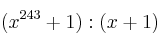 (x^{243} + 1) : (x+1)